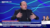 Yannick Hamon (Meilleur Placement) : Fonds euros, un rendement 2020 meilleur que prévu ? - 11/02