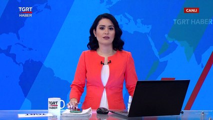 ABD Kongre Üyesi Komite Toplantısına Baş Aşağı Katıldı