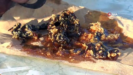 21 Yıldır Akrepleri Sağıp, Panzehiri ile Akrep Zehirlenmelerini Tedavi Ediyor