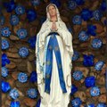 Who Is Our Lady of Lourdes