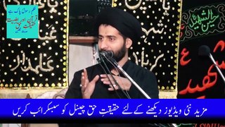 3 Ahl-E-Sunnat Ulama Aur Aik Aham Kitaab || Maulana Syed Arif Hussain Kazmi __