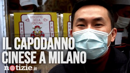 Milano, Capodanno cinese ai tempi del covid: lo chef Agie Zhou "L'anno del bufalo porterà fortuna"