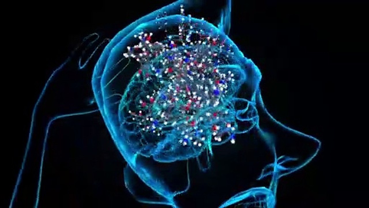 Videografik: Liebesrausch - ein biochemischer C...