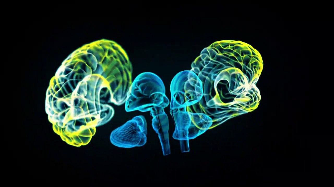 Videografik: Liebesrausch - ein biochemischer Cocktail