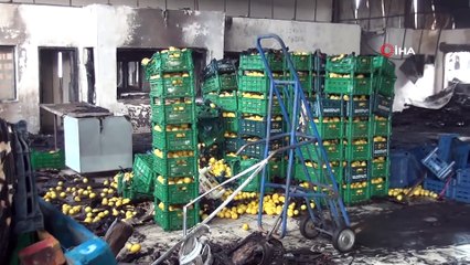 Antalya'daki Yangında 350 Ton Sebze Küle Döndü, 6 Milyon Zarar Var