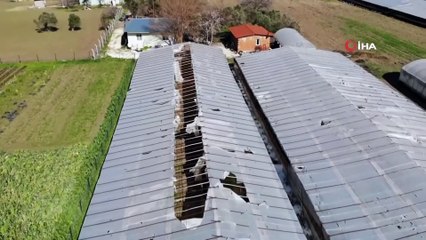 İzmir’deki Dolu Yağışı Seraları Deldi Geçti