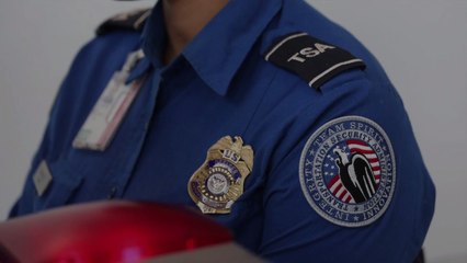 TSA Officer Pays for Family's Cross-Country Flight Following Scheduling Mistake