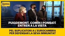 Puigdemont, Comín i Ponsatí entren a la vista pel suplicatori a l'Eurocambra