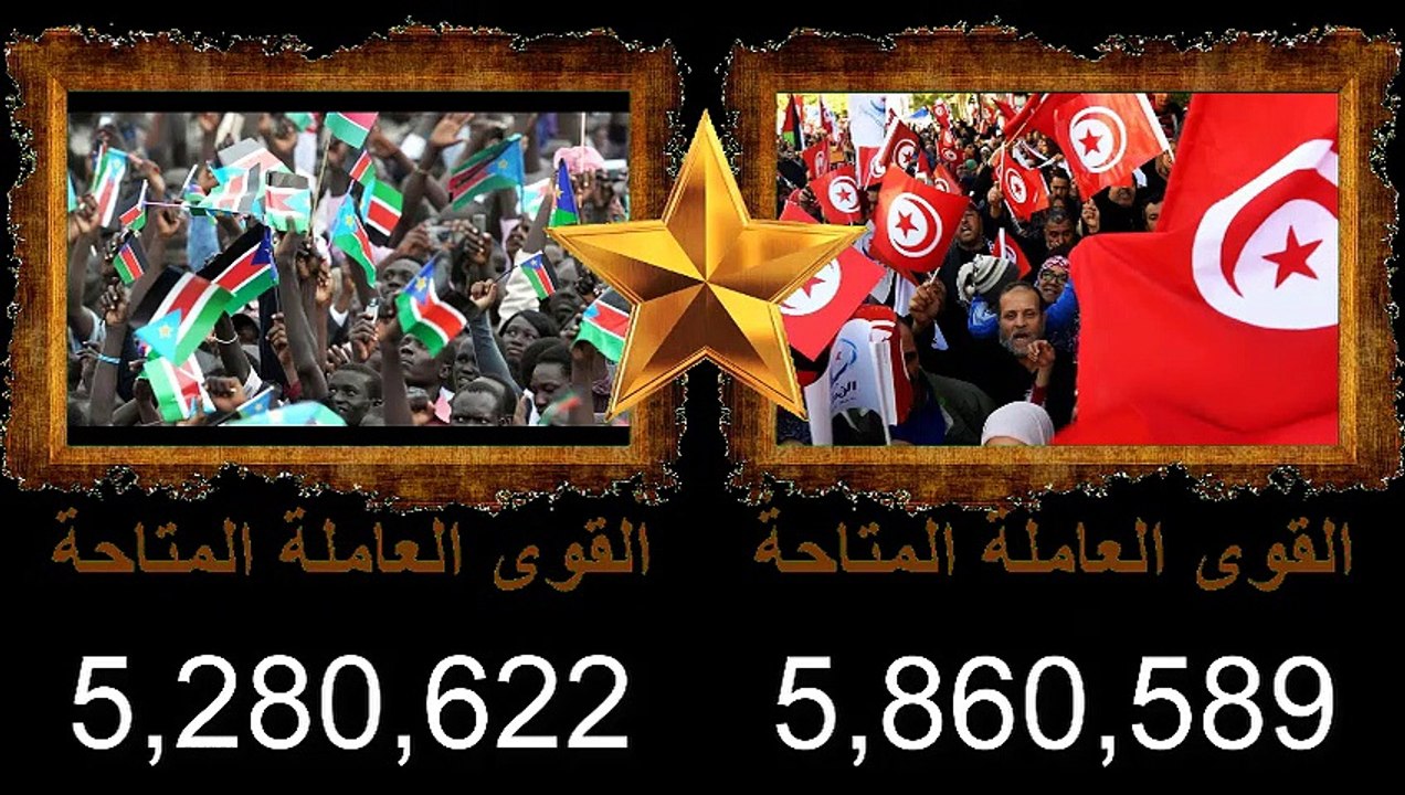 مقارنة القوى العسكرية بين الجيش التونسي و الجيش جنوب السوادن - مقارنة بين تونس و جنوب السوادن 2021