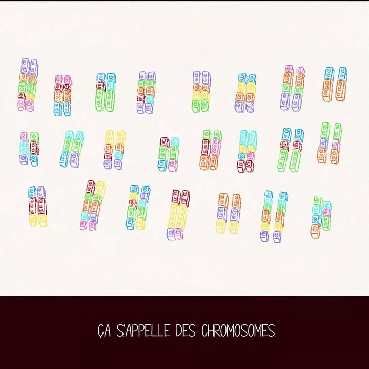 Le syndrome d'Angelman