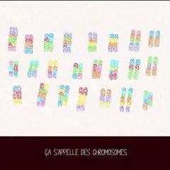 Le syndrome d'Angelman