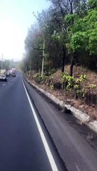 Conductor de bus extraurbano arriesga la vida de usuarios yéndose en contra la vía