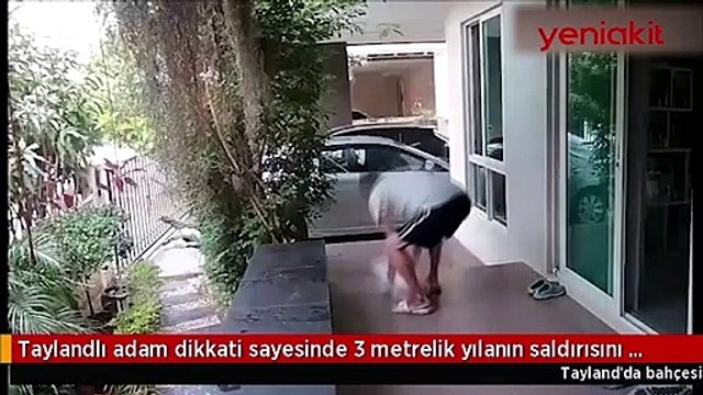 3 metrelik yılandan dikkati sayesinde kurtuldu! İşte dehşete düşüren anlar