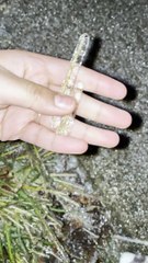 Cold Rain Flash Freezes Neighborhood