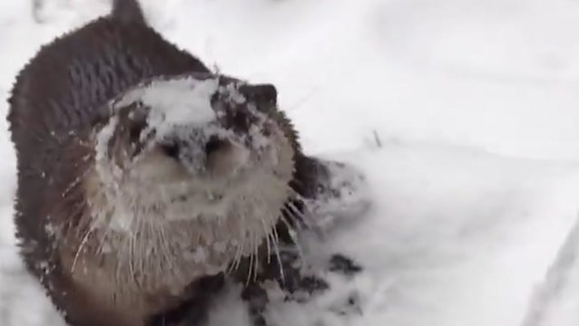 Much of Oregon blanketed with mid-February snow