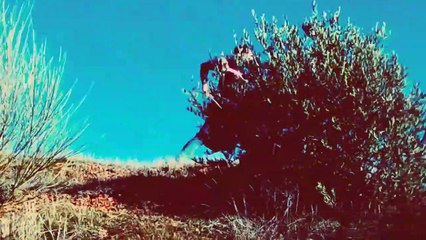 Querer es poder by PeterPunk Band