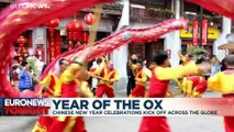 Happy Lunar New Year: Welcome the Year of the Ox!