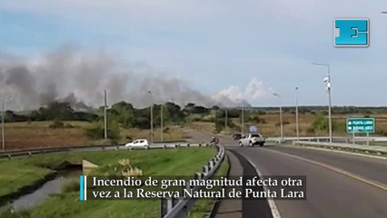 Incendio de gran magnitud afecta otra vez a la Reserva Natural de Punta Lara