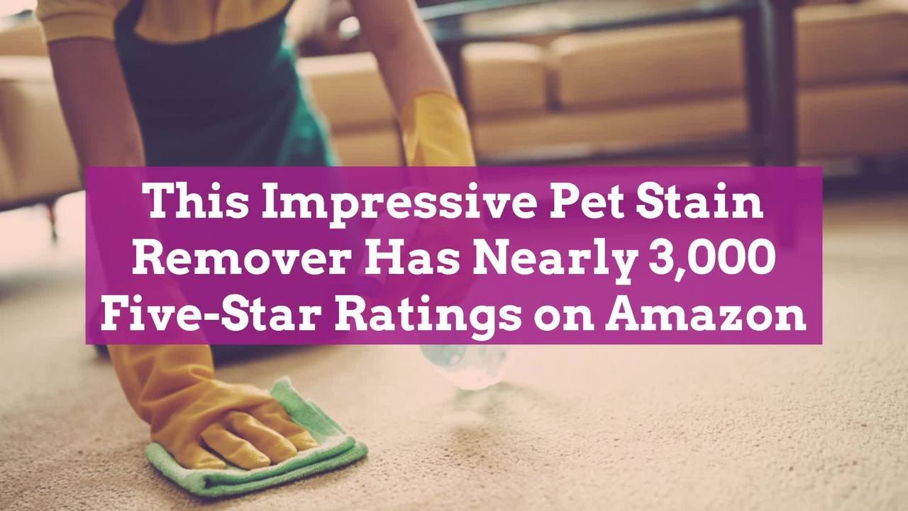 This Impressive Pet Stain Remover Has Nearly 3,000 Five-Star Ratings on Amazon