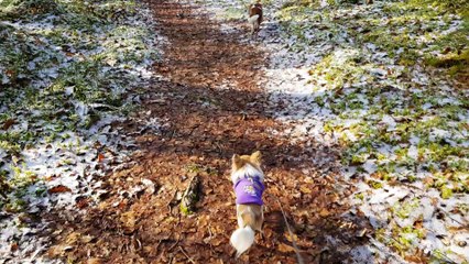 En balade avec un peu de neige suite