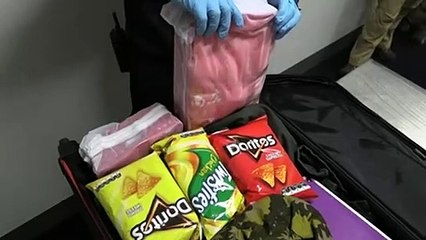 Scientists create device to stop black market trade