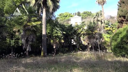 В Сухуми новый парк имени Дзидзария