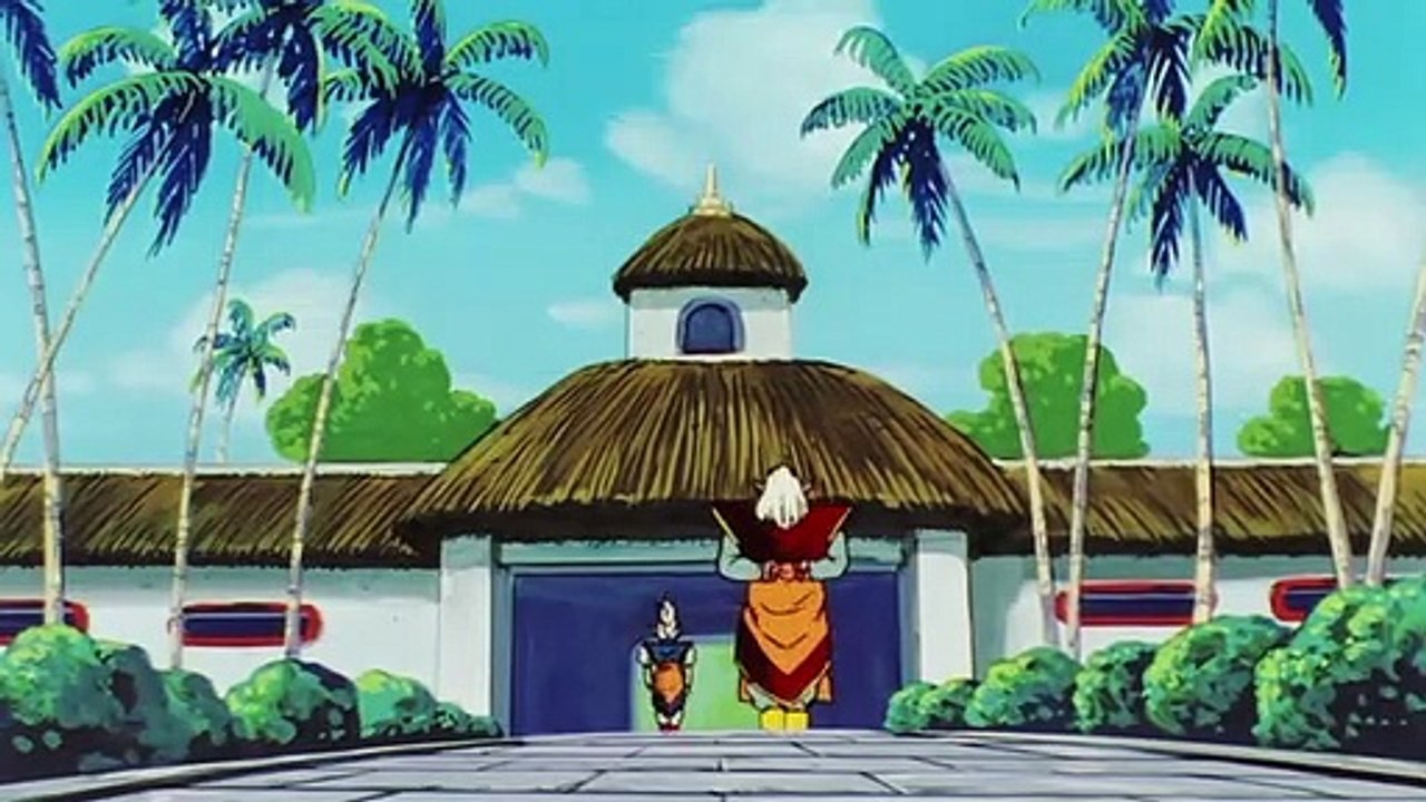 Bola de Drac Z Kai  (110)