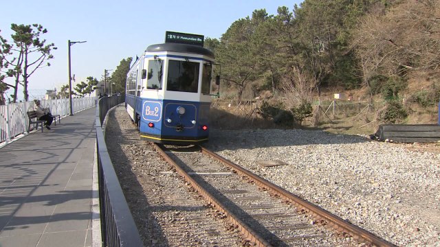 명절 모임 대신 야외로...소규모 가족 단위 해안 산책 / YTN