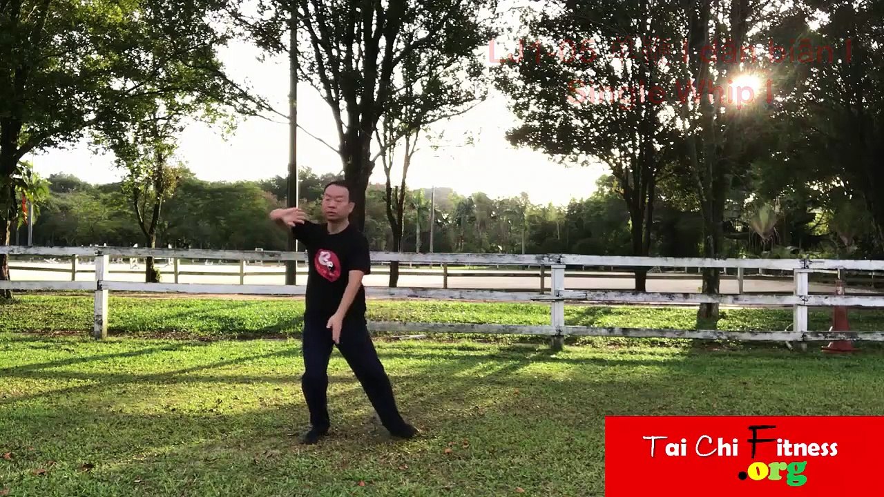 Aerobic Tai Chi Workout - LJ1-05 单鞭 I dān biān I Single Whip I