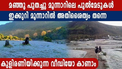 മൂന്നാറിലെ താപനില മൈനസ് 2 ഡിഗ്രി സെൽഷ്യസ്. | Oneindia Malayalam