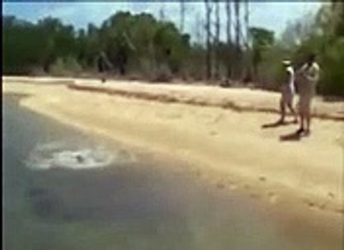 Un crocodile vient voler le requin attrapé par ces pêcheurs