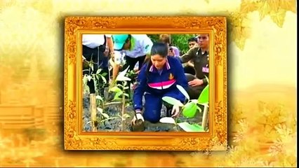 ข่าวในพระราชสำนัก วันอาทิตย์ที่ 14 กุมภาพันธ์ 2559 (ช่อง 9)