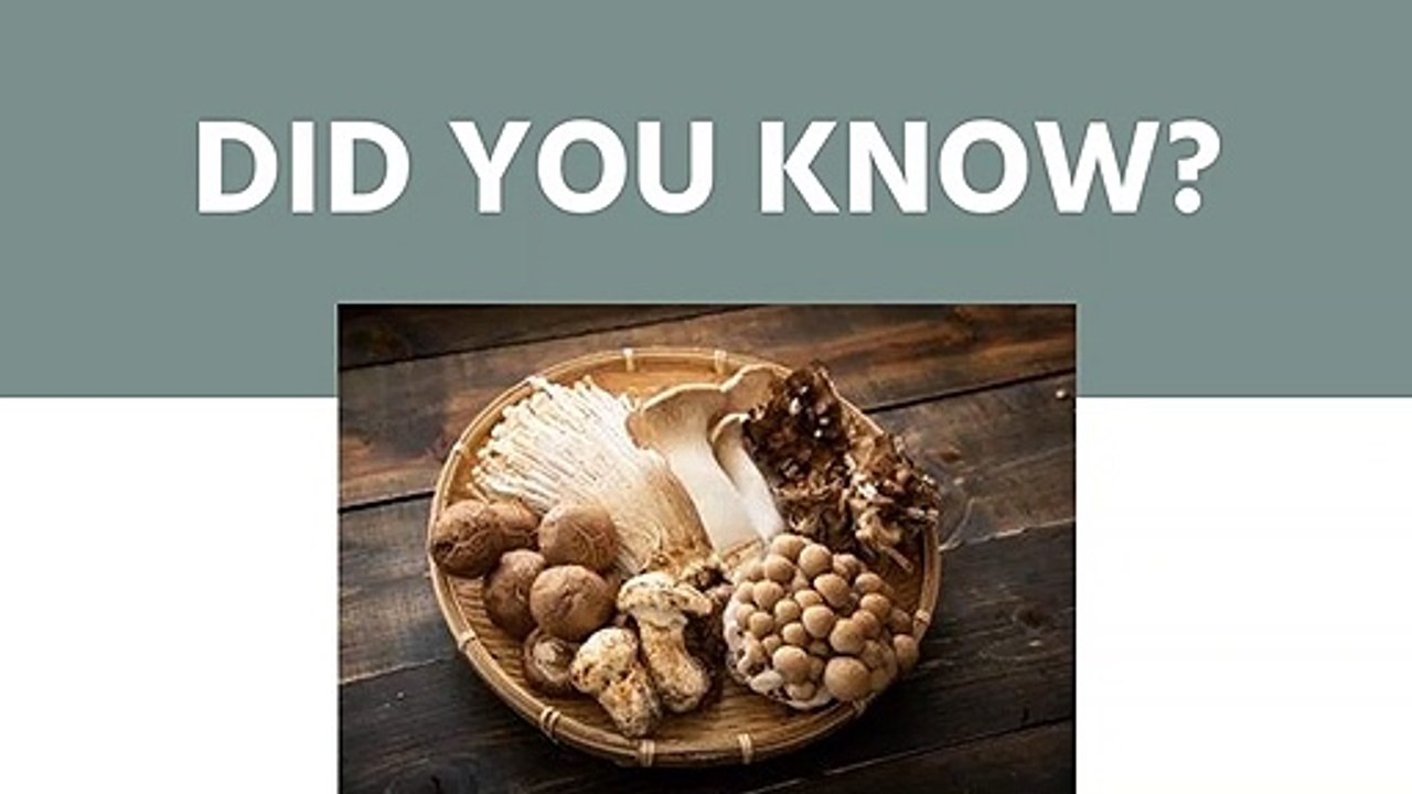Mushrooms Have Their Own Immune System.