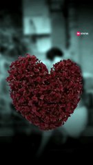 Happy Valentine's Day Status | Ishq Wala Love Status | Neeti Mohan | Salim M | Shekhar R | DK Status