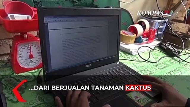 Ide Bisnis: Untung dengan Berjualan Tanaman Kaktus