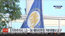 미국 조지아주, 바이든에 'LG-SK 판결' 거부권 행사 요구