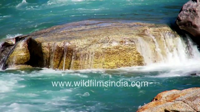 Magically clean emerald waters of the Bhagirathi Ganga below Gangotri