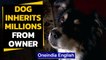Dog inherits millions from her human, internet amazed | Oneindia News