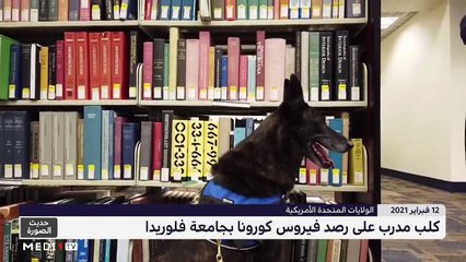 حديث الصورة - 13/02/2021