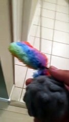 Puppy Plays Never Ending Game of Chase