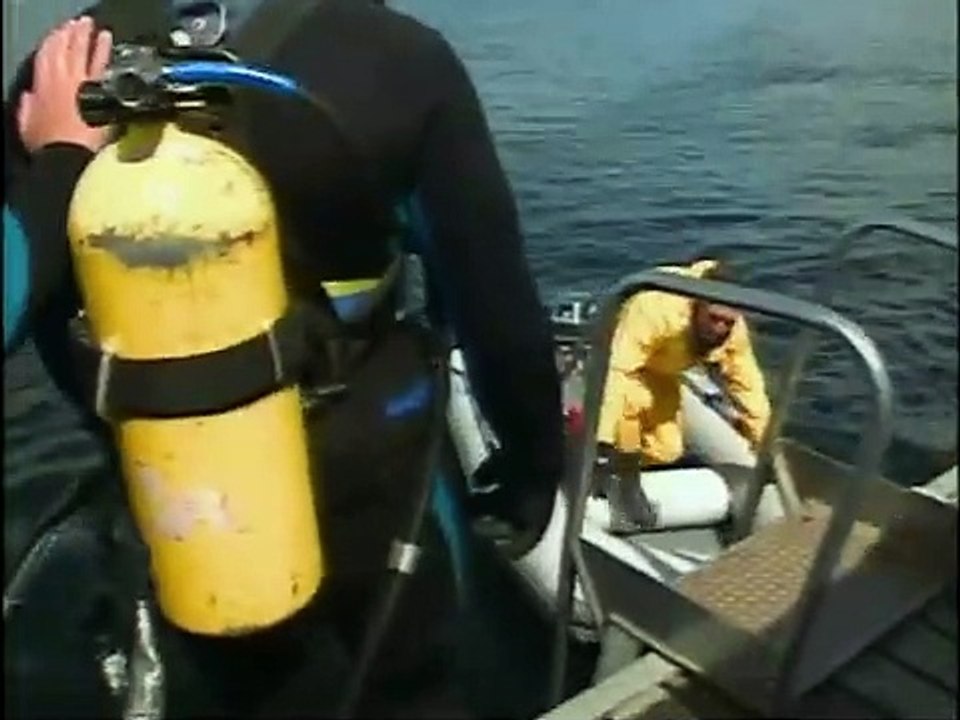 Bill Nye the Science Guy - S04E03 Marine Mammals