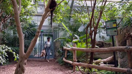 Tierärztin Dr. Mertens: Wut im Bauch | Folge 80