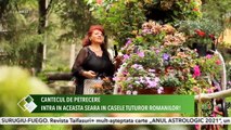 Elena Padure - Tiganeasca (O seara cu cantec - ETNO TV - 11.02.2021)