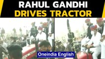 Rahul Gandhi meets farmers in Rajasthan, drives tractor: Watch | Oneindia News