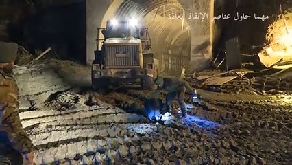 كلب يرفض مغادرة موقع الانهيار الجليدي في الهند