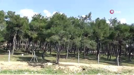 Arkadaşı tarafından yemeğe davet edilip öldürüldü