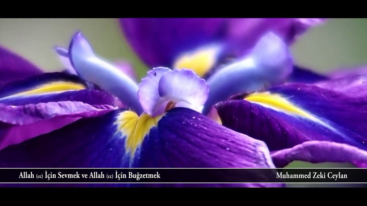 Allah cc İçin Sevmek Allah cc İçin Buğzetmek _ M. Zeki Ceylan