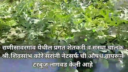 Netsurf agricultural products results on  watermelon 