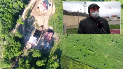 Mezbahadan Kaçan Düvenin Bulunması İçin Sosyal Medyadan Yardım İsted