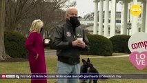 First lady Jill Biden decorates White House lawn with giant hearts for Valentine's Day